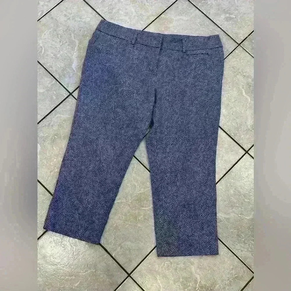 Loft Outlet Original Crop Pant Size 14 - Picture 1 of 6
